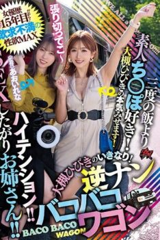 [DASS-262] [DECENSORED] High Tension! ! An Older Sister Who Wants To Have Sex! ! This Is My 15th …