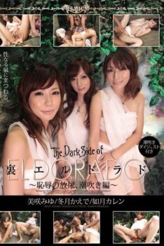 [PXD-021] [DECENSORED] El Dorado – Pissing Of Shame Back, Digest With Squirting Squirting Hen