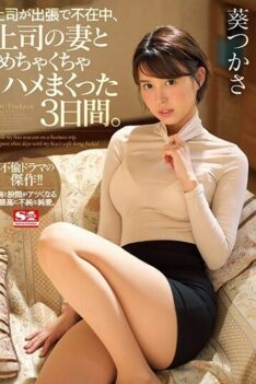 [SSNI-518] [DECENSORED] While My Boss Was Out On A Business Trip, I Spent Three Days With My Boss…