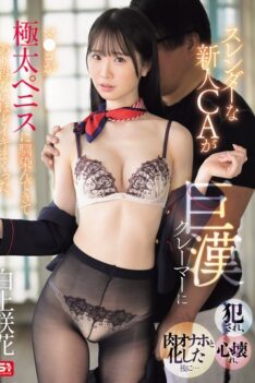 [SONE-770] [DECENSORED] A slender new flight attendant is raped by a big-bodied customer, her heart breaks, and she becomes a meat masturbator… Her pussy gets used to the extra-thick penis and sh…