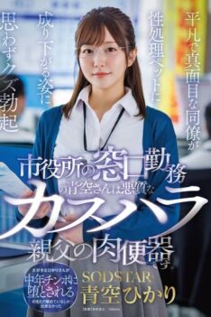 [START-424] [DECENSORED] Aozora, who works at the city hall front desk, is a cum bucket for a vicious customer harassment man. Seeing my ordinary, honest colleague reduced to a sex toy gets my boner’s rock hard! Hikari Aozora