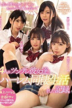 [MIRD-192] [DECENSORED] This Is The One Time In My Life Where I’m Getting Lucky With Ladies, So I Went To Each One Of These 4 Tsundere Ladies And Told Them How Much I Loved Them And Now I Provide T…