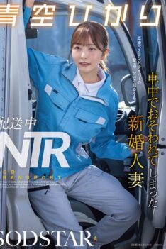 [START-492] [DECENSORED] NTR During Delivery: A Newly Married Wife Was Attacked In The Car While Accompanying A Married Veteran Driver On A Delivery – Aozora Hikari